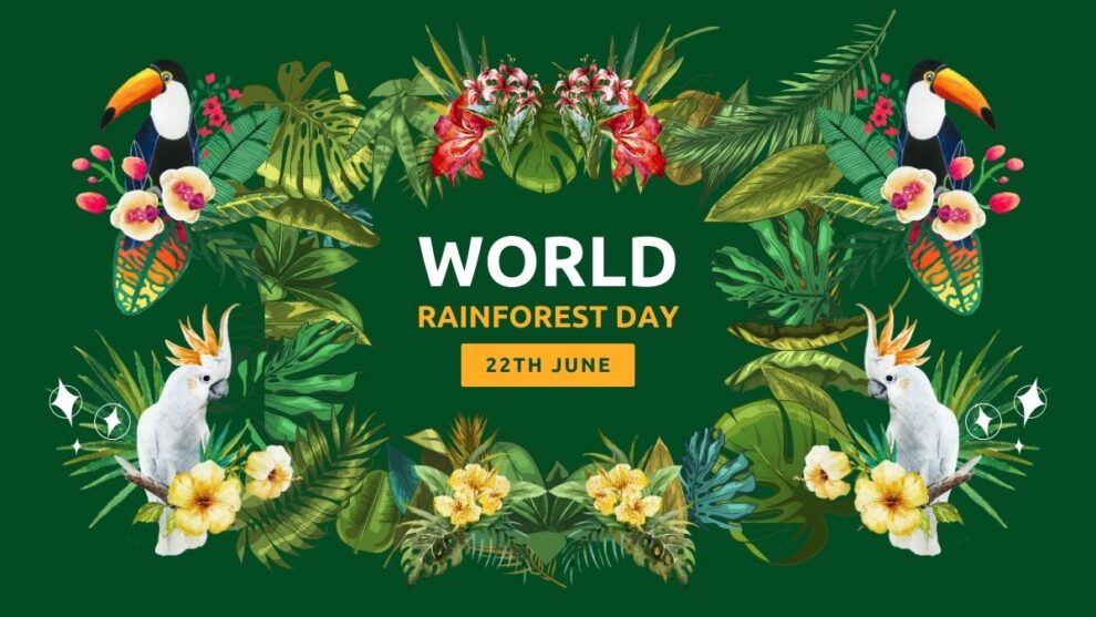 World Rainforest Day दरवर्षी २२ जून रोजी साजरा केला जातो.