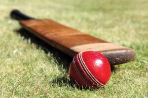 Cricket bat ball