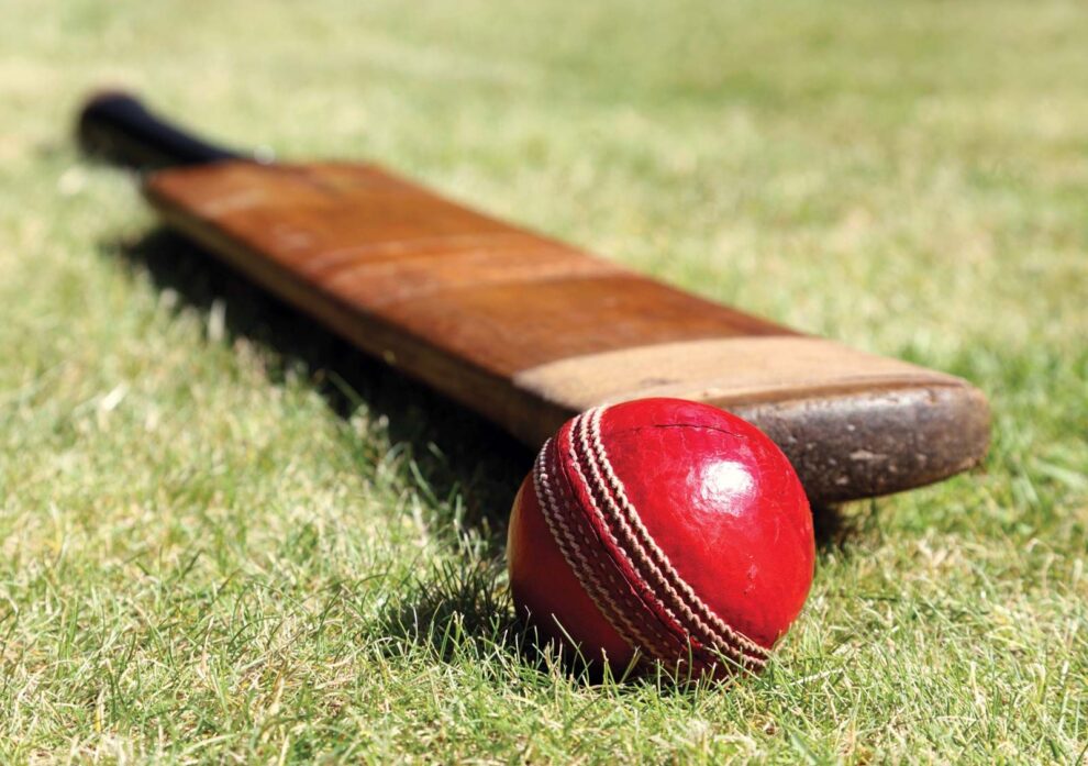 Cricket bat ball