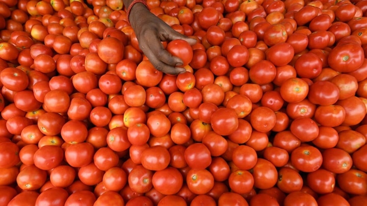 Tomato महागले, खरेदीदार वैतागले